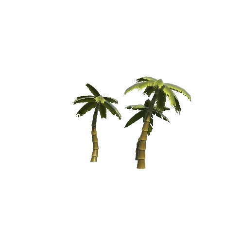 Palms_02