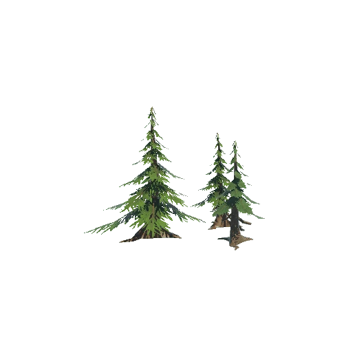 Pines_01