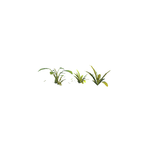 Plants_03