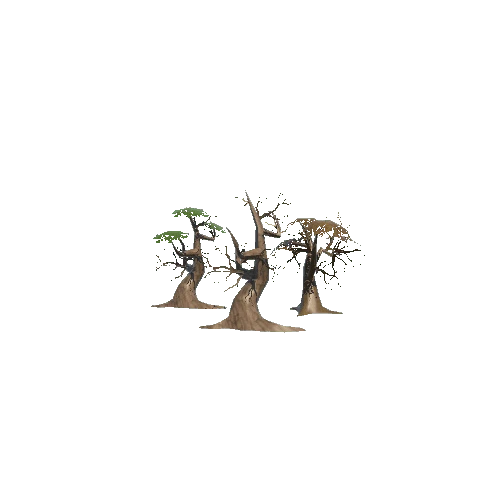 Trees_01