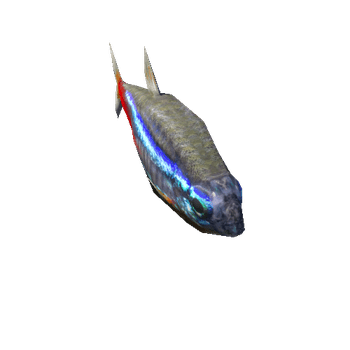 NeonTetra