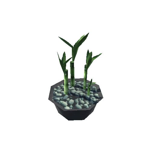 Plant01