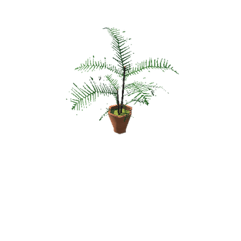 Plant02