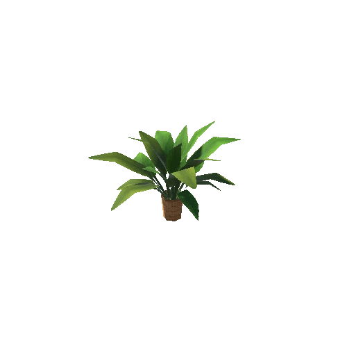 Plant04
