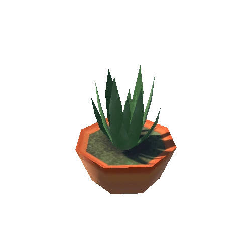 Plant06