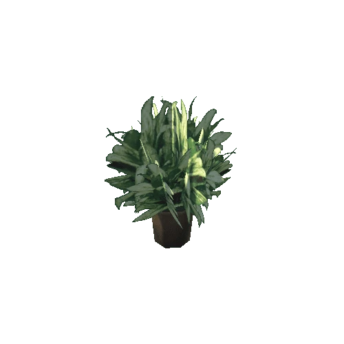 Plant14