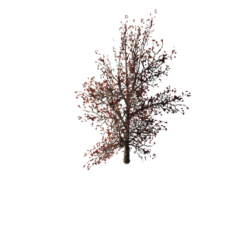 364 Wild red bush Mobile pack