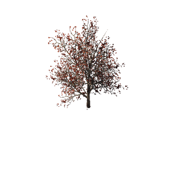 479 Wild red bush Mobile pack