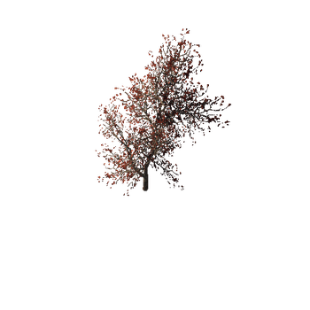 500 Wild red bush Mobile pack
