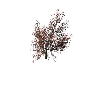 502 Wild red bush Mobile pack