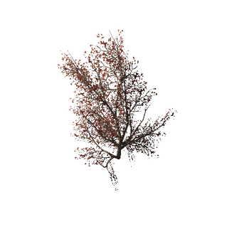 890 Wild red bush Mobile pack