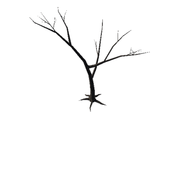 Dead_Tree_1A