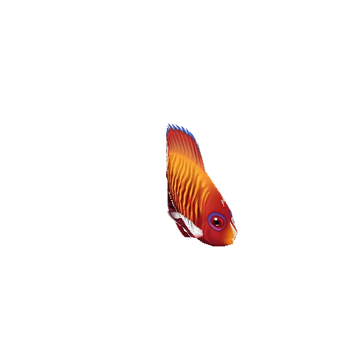 AngelFish_15