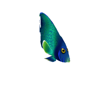 AngelFish_20