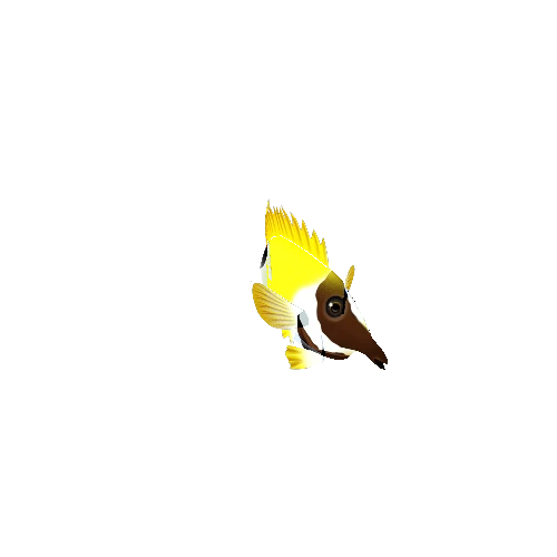 FoxFace_Rabbit_Fish_01