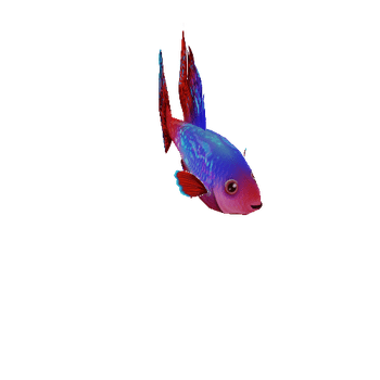 Guppy_Fish_01