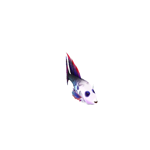 Guppy_Fish_04