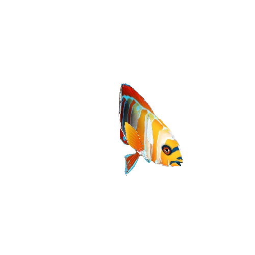 HarlequinTusk_Fish