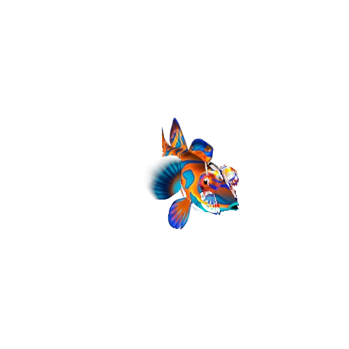 Mandarin_Fish_01