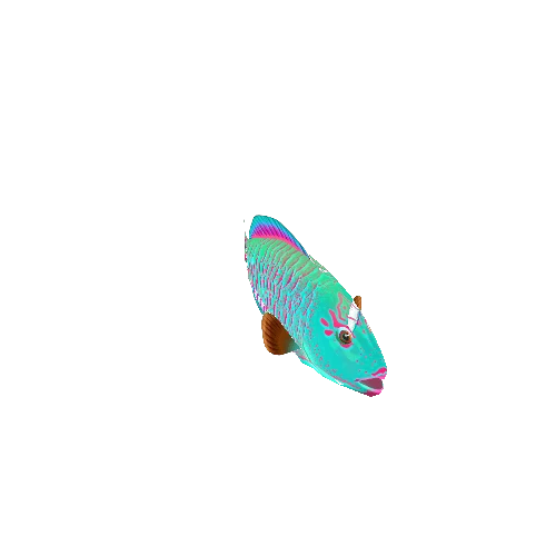 ParrotFish_01