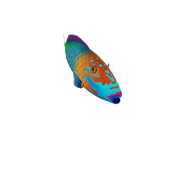ParrotFish_02