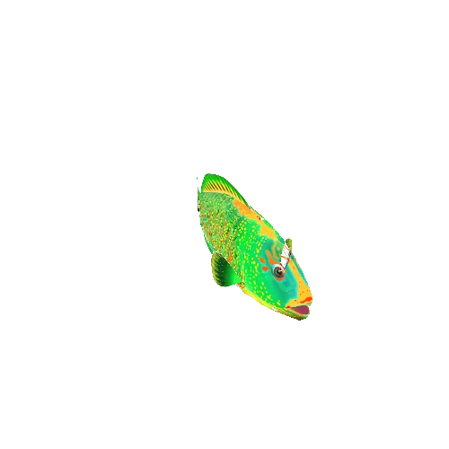 ParrotFish_03