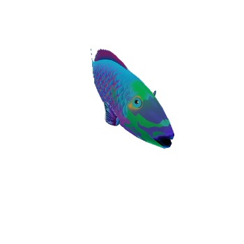 ParrotFish_04