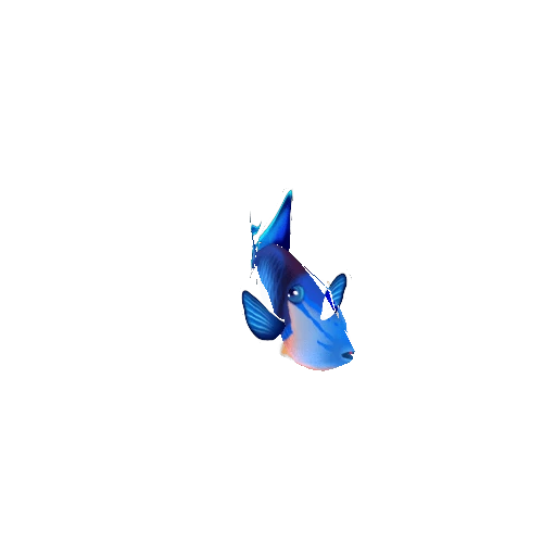 Queen_Trigger_Fish_02