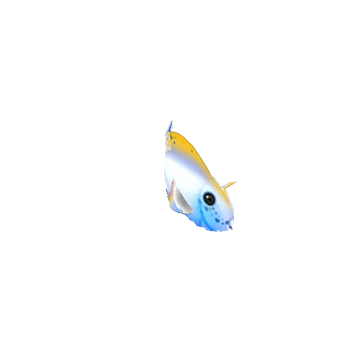TangFish_03