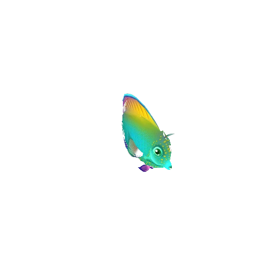 TangFish_06