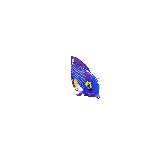 TangFish_07