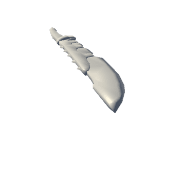 LeatherBack_Sword