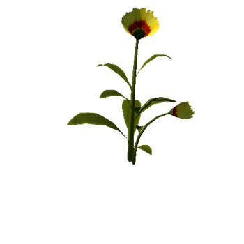 Flower_v4_00_1