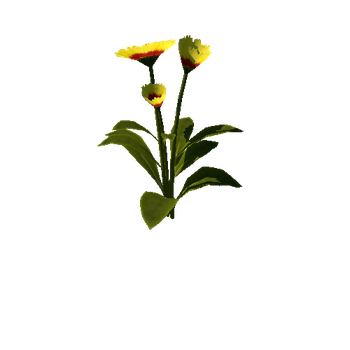 Flower_v4_01_1