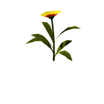 Flower_v4_03_1