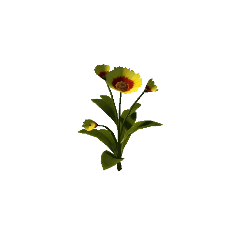 Flower_v4_06