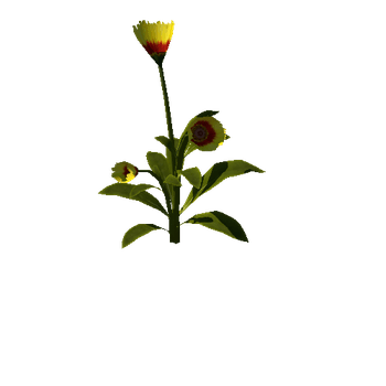 Flower_v4_08_1