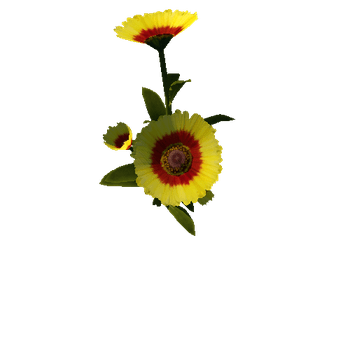 Flower_v4_09