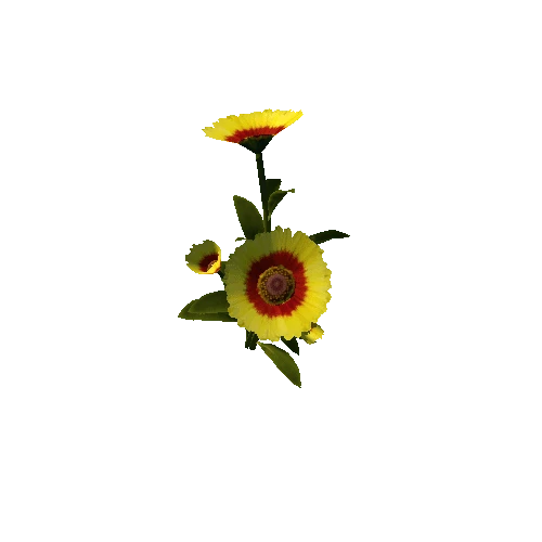 Flower_v4_09