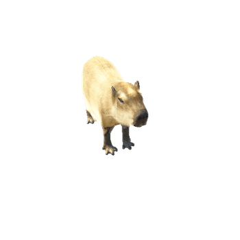 CapybaraModel