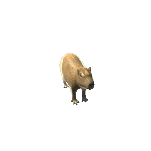 CapybaraModel