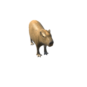 CapybaraModelNoFurTwoLODs