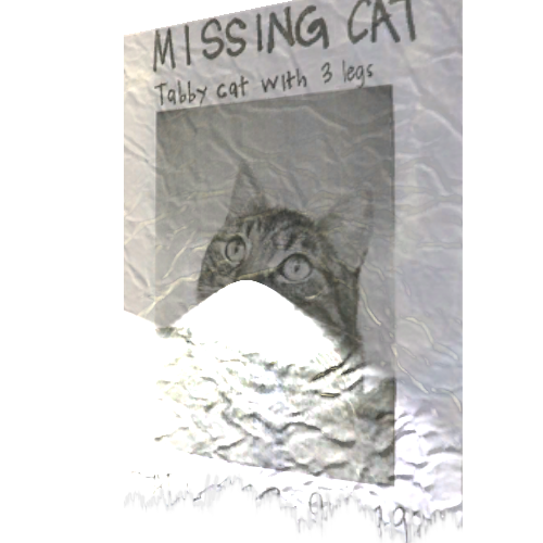 Missing_Cat