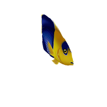 AngelFish_09