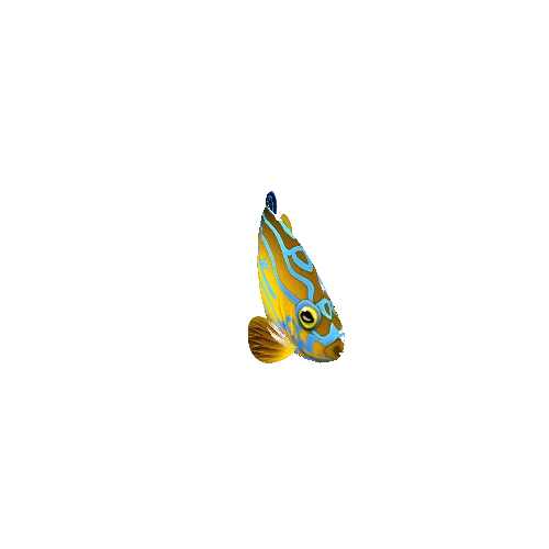 AngelFish_13