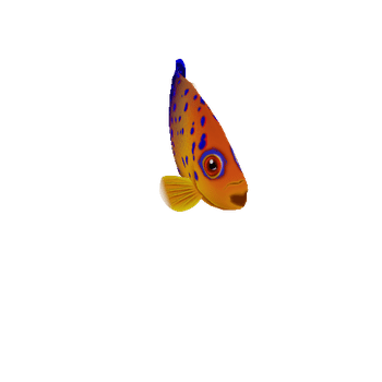 AngelFish_17