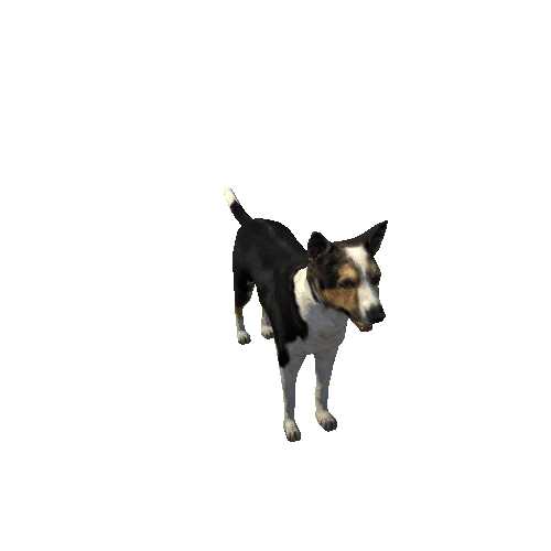 Dog_Collie_LowPoly