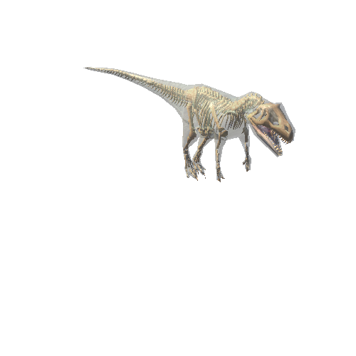 Allosaurus2Ragdoll