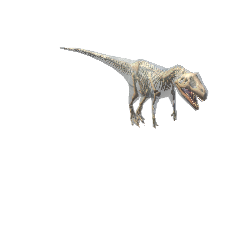 AllosaurusWithScript