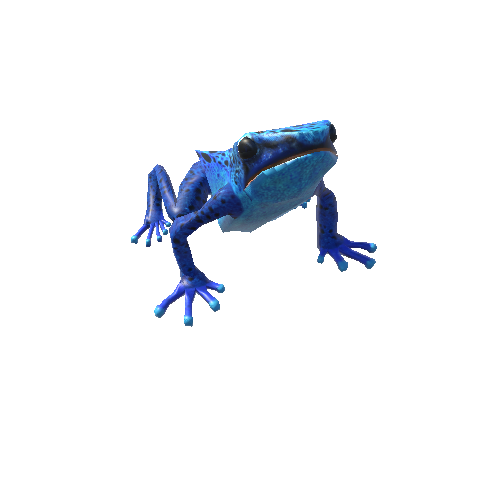 BluePoisonDartFrog